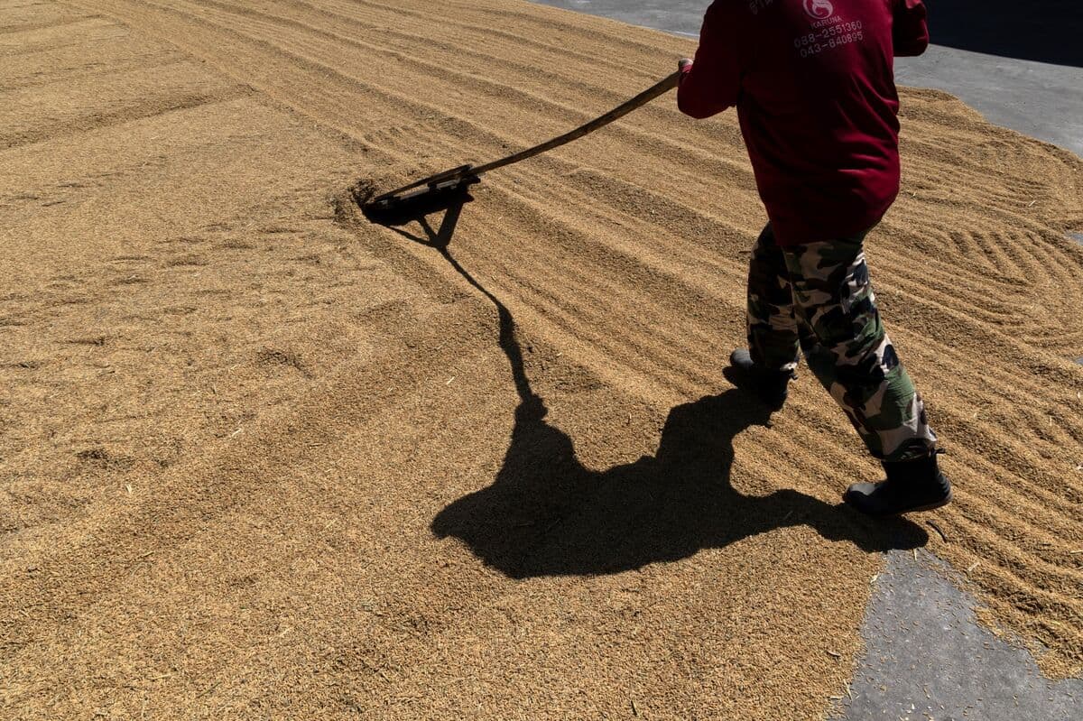 Filipinas busca tope de precios para el arroz